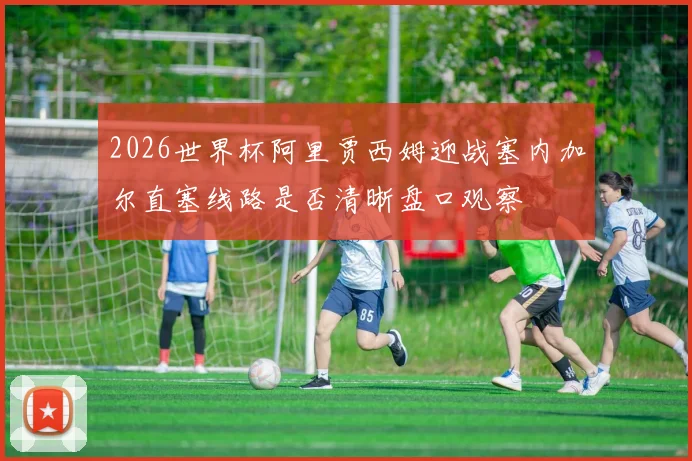 2026世界杯阿里贾西姆迎战塞内加尔直塞线路是否清晰盘口观察