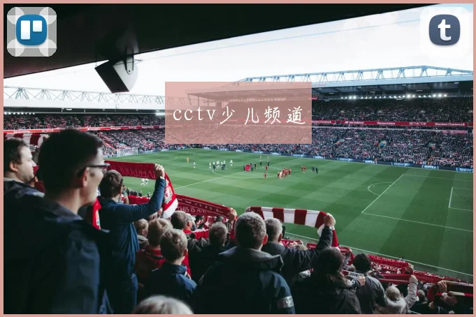 cctv少儿频道