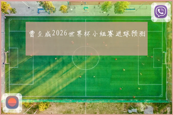 曹圭成2026世界杯小组赛进球预测