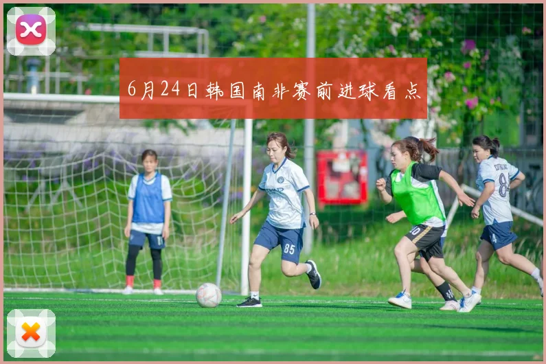 6月24日韩国南非赛前进球看点