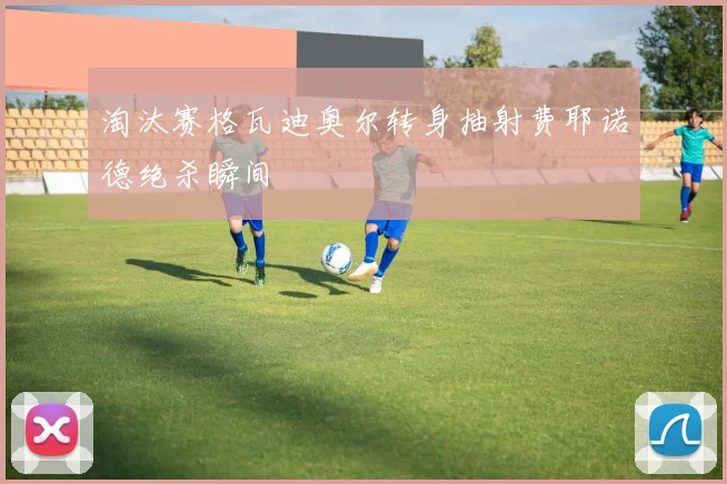 淘汰赛格瓦迪奥尔转身抽射费耶诺德绝杀瞬间