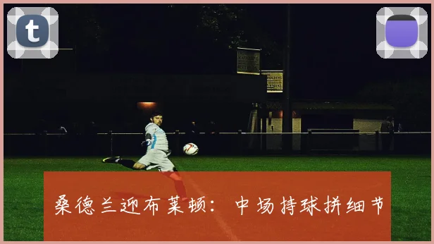 桑德兰迎布莱顿：中场持球拼细节